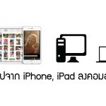 download the last version for iphonempv 0.36
