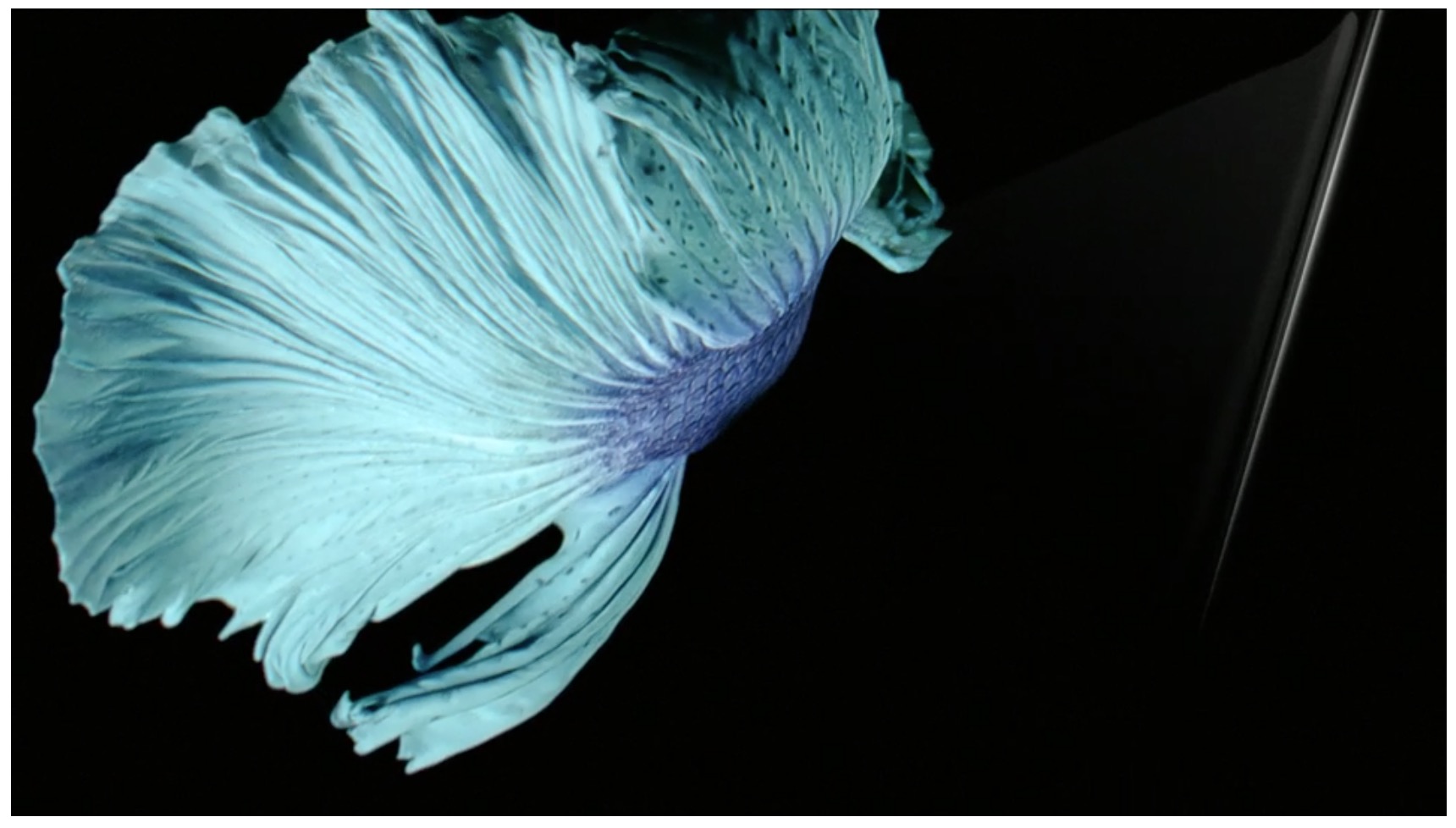 Screen Shot 2558-09-10 at 1.26.29 AM