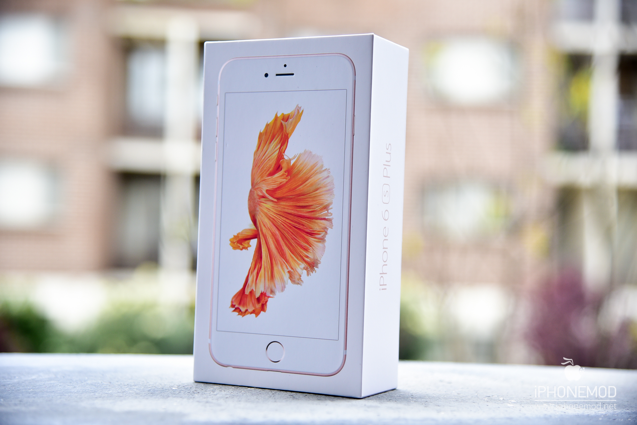iPhone 6s Rose Gold 32 GB UQ mobile ついに入荷 - 携帯電話