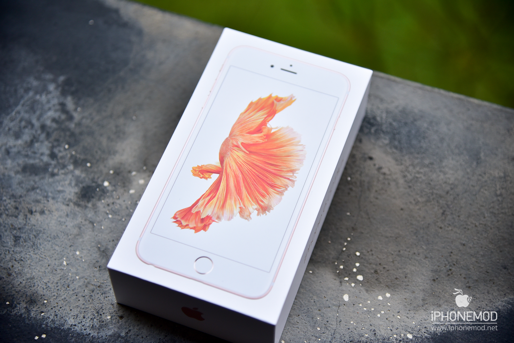 iPhone - iPhone 6s Plus Rose Gold 128 GB SIMフリーの+