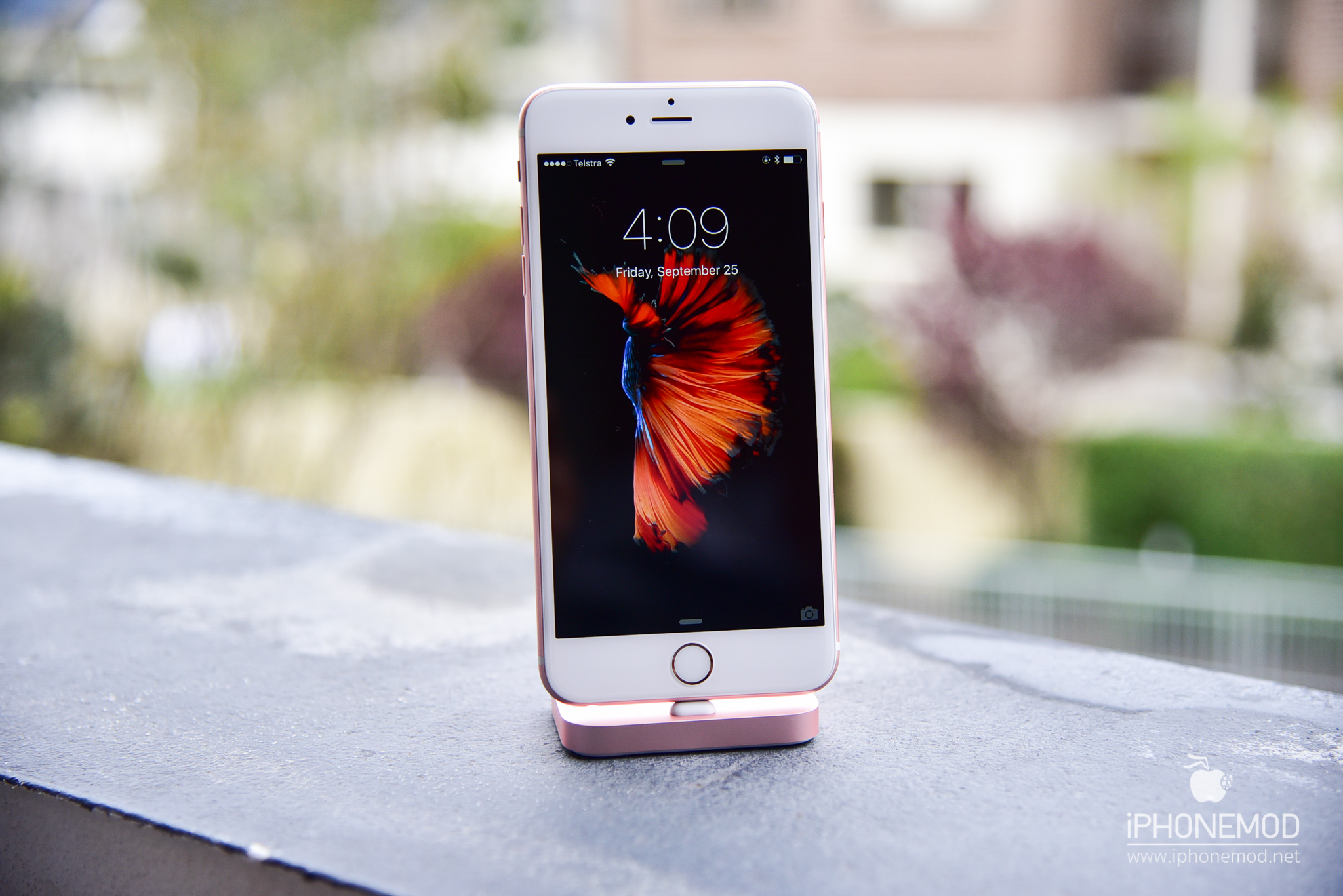 iPhone 6s Rose Gold 16 GB Softbank - スマートフォン/携帯電話