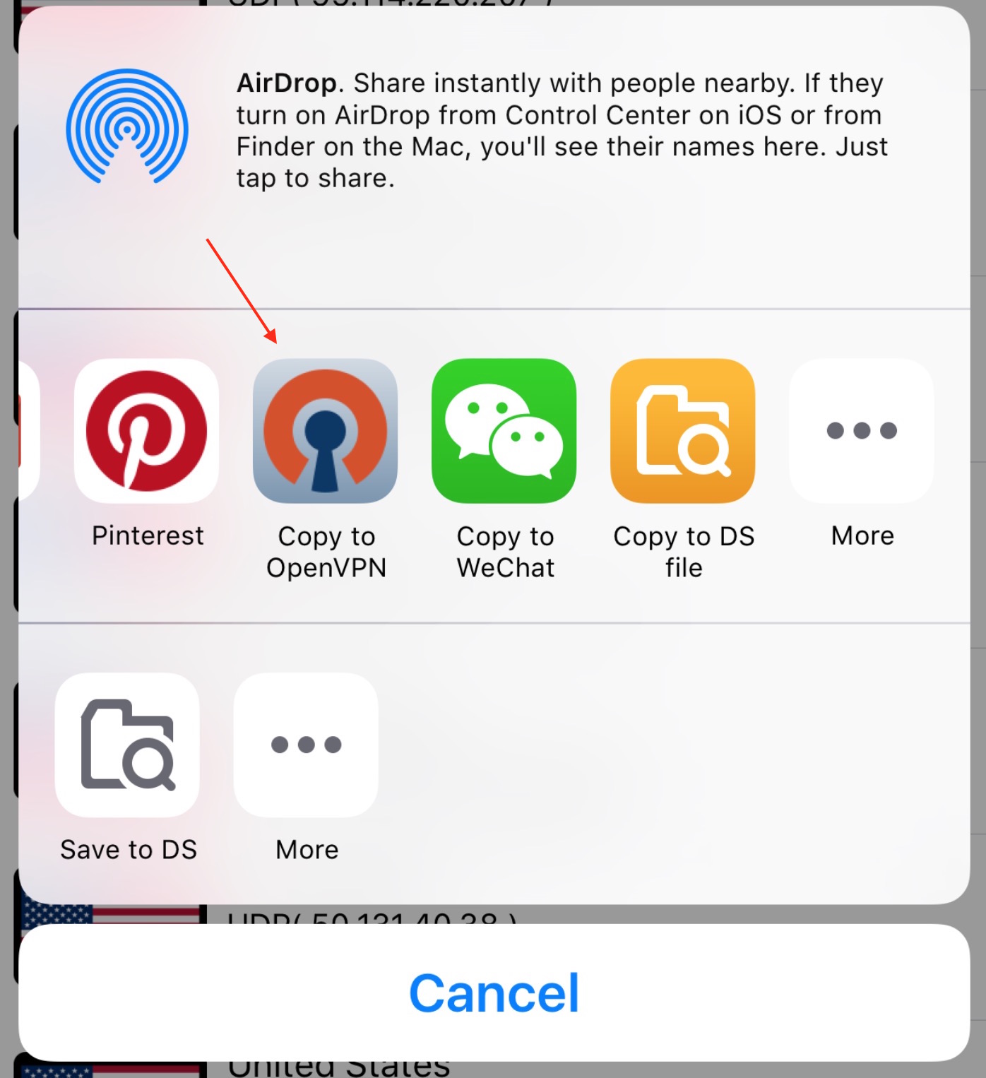 copy to open vpn