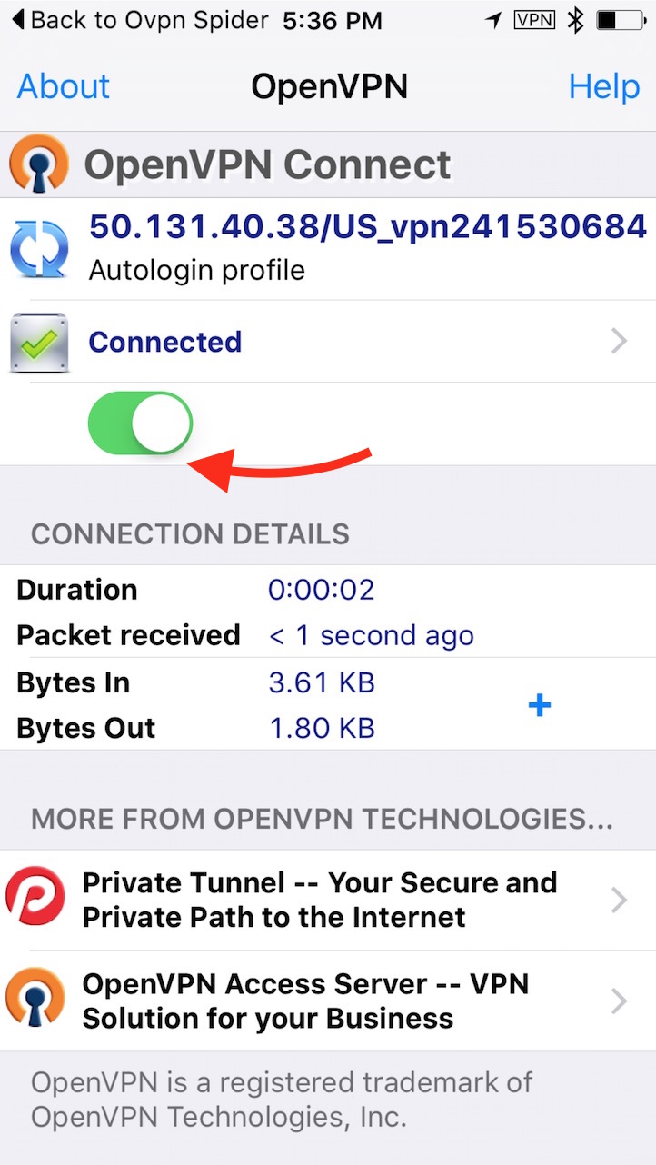 connect openvpn
