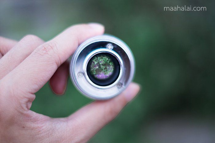 27747066963_d83c766281_o