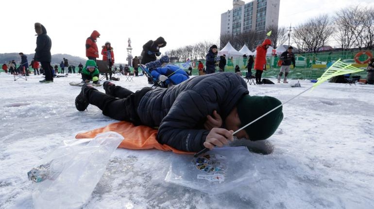 03951_kr-fishcatching01