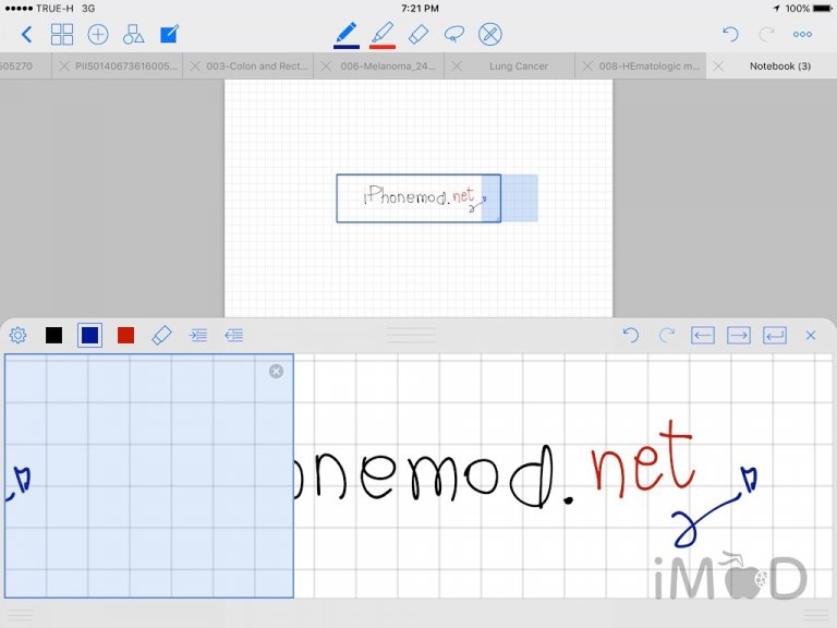 size goodnotes 4 size goodnotes 4