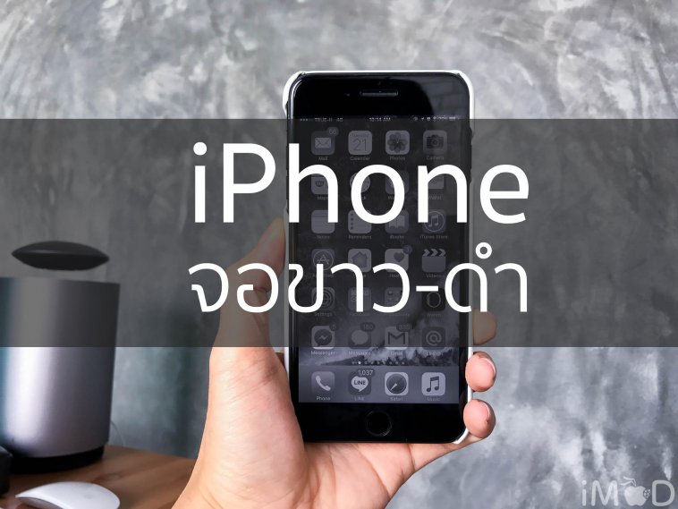iphone-จอขาวดำ