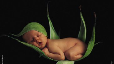 baby1