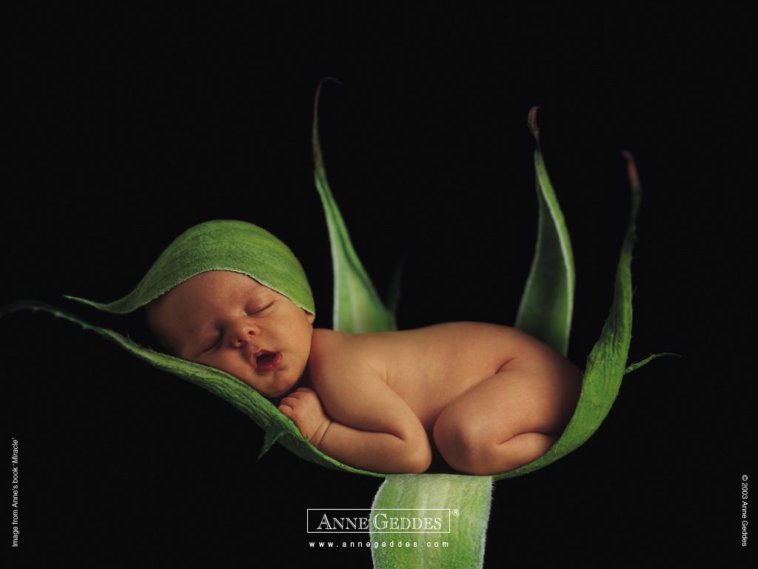baby1