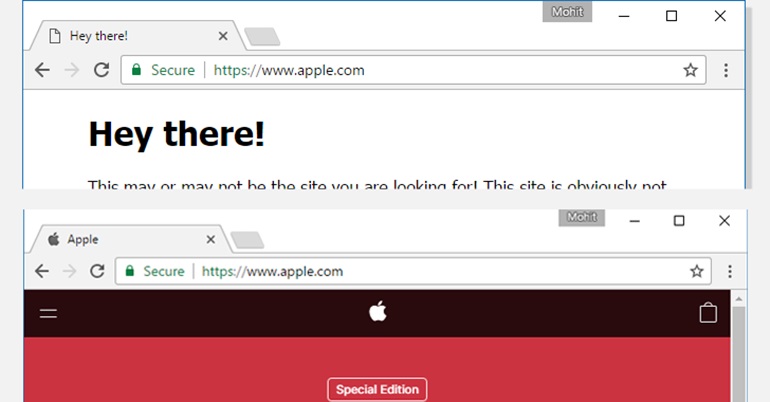 Fake URL