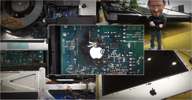 Ant Problems In The Computer Cover