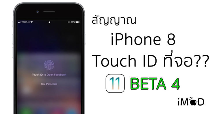 Ios11 Beta4 Touchid