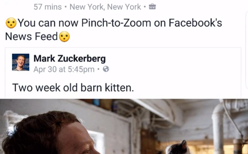 Pinch To Zoom Facebook 1 1