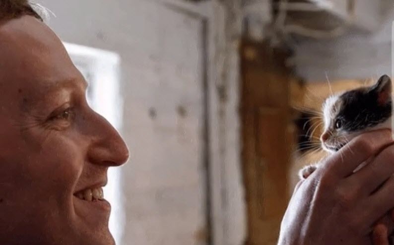 Pinch To Zoom Facebook 1 3