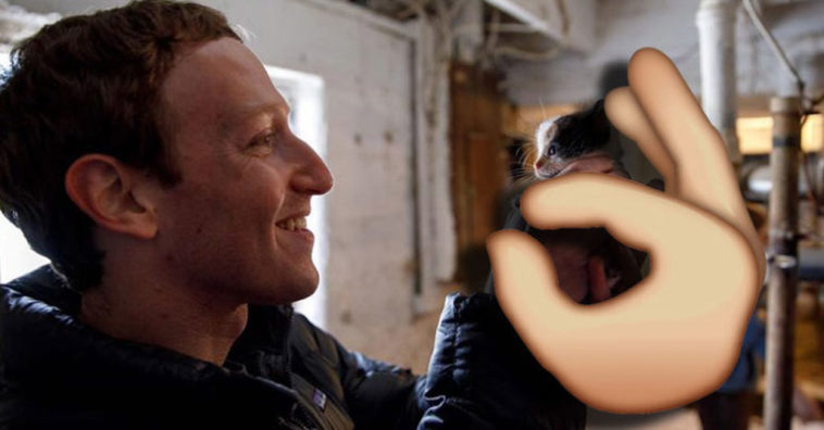 Pinch To Zoom Facebook