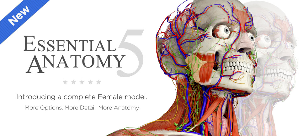 essential anatomy 5