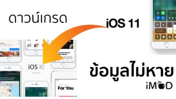 Downgrade Ios 11 Beta To Ios1033 Without Lost Data