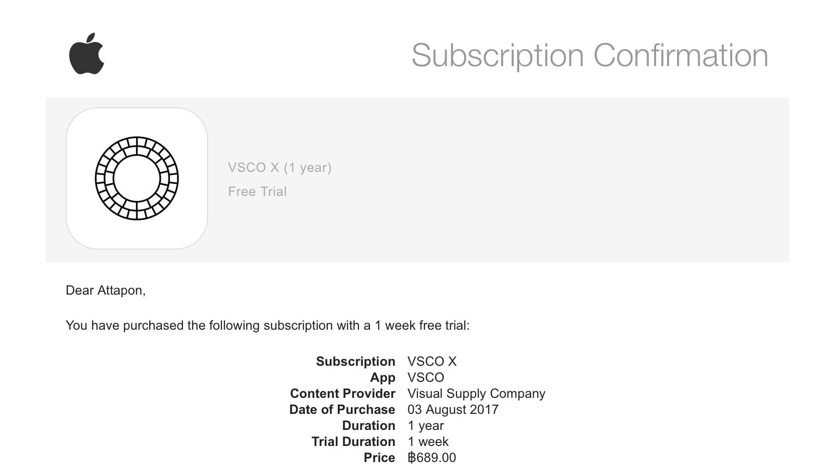 Vsco X Video Filter