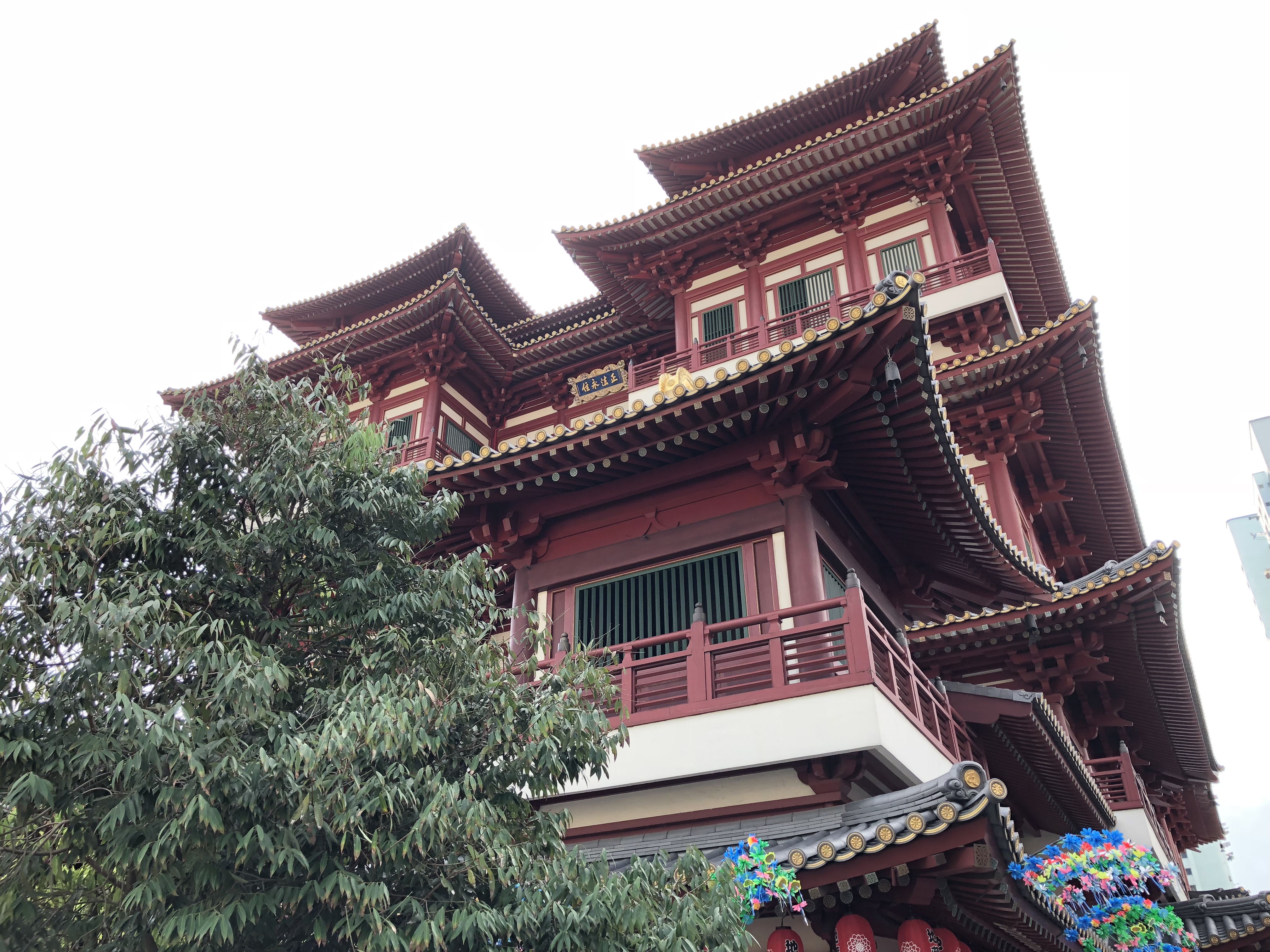 55e9a771 2b42 4bc8 9ac1 A614d2c95c78