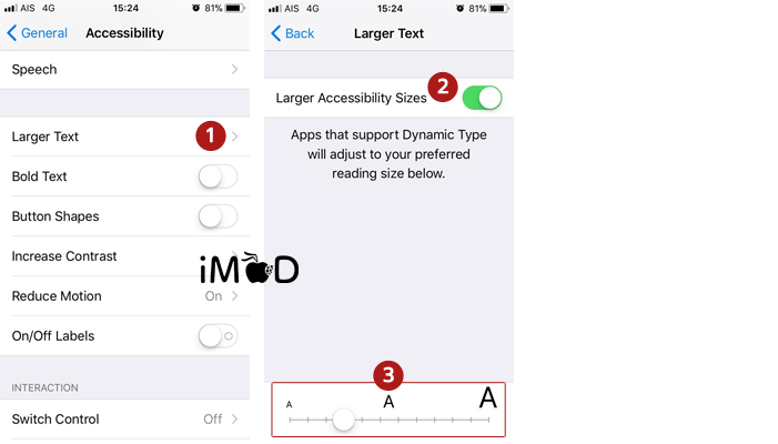 Accessibility Large Text Setting