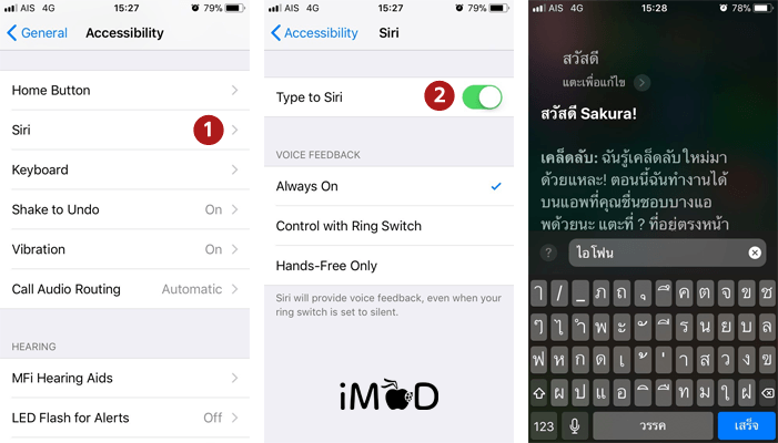 Accessibility Type To Siri Setting