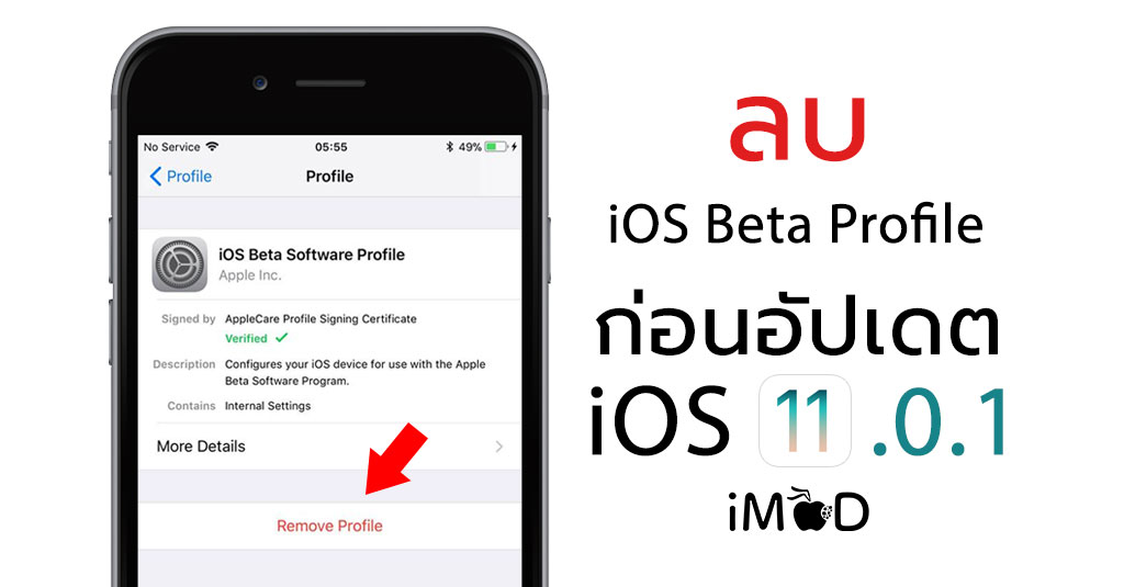 apple beta profile ios 13