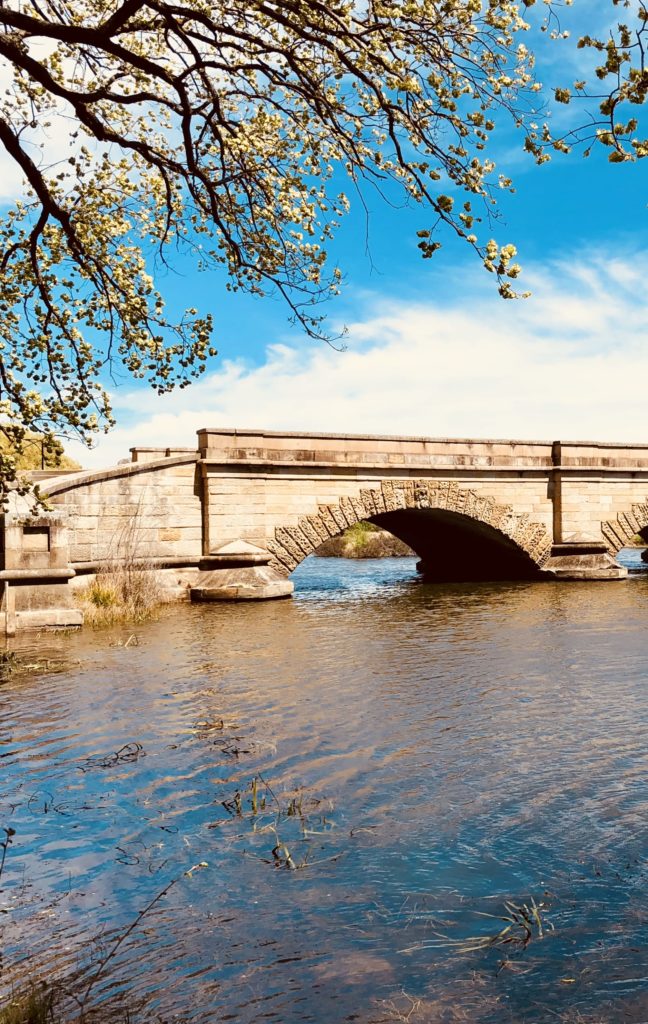 Shot On Iphone 8 Plus 12