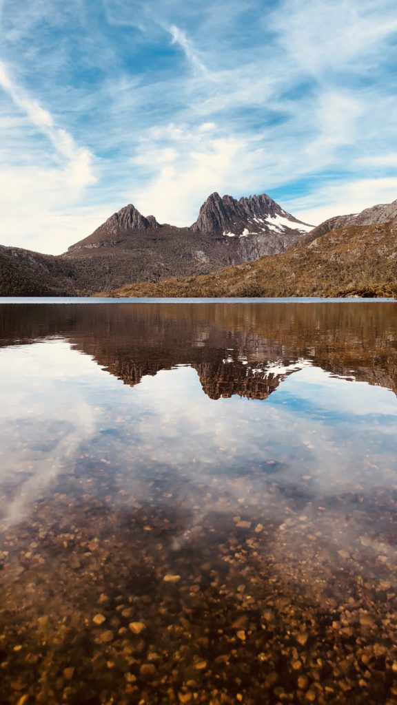 Shot On Iphone 8 Plus 15