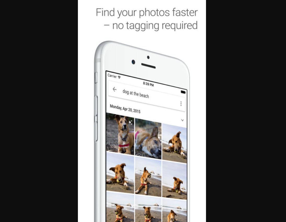 Google Photos App Pet 1