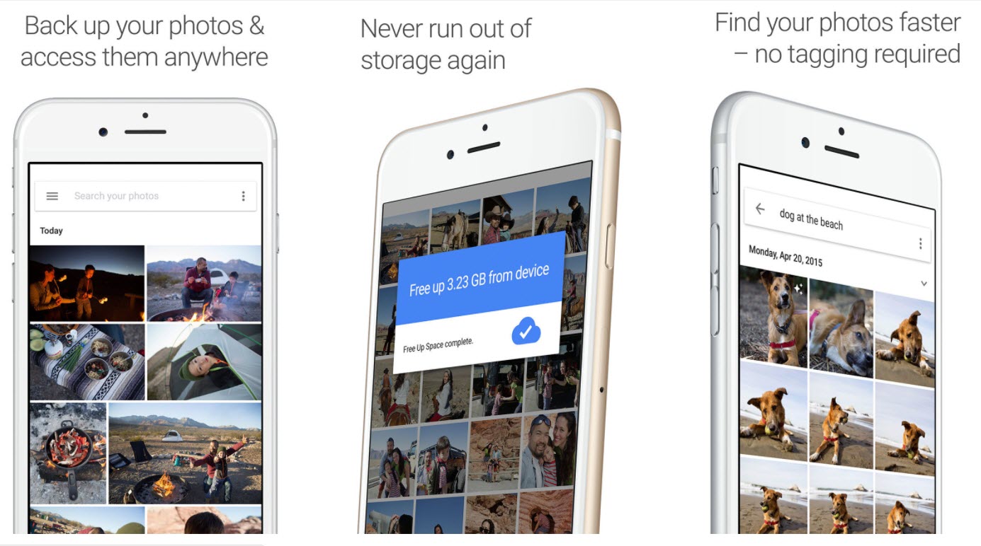 Google Photos App Pet 4
