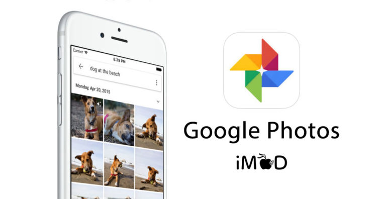 Google Photos App Pet