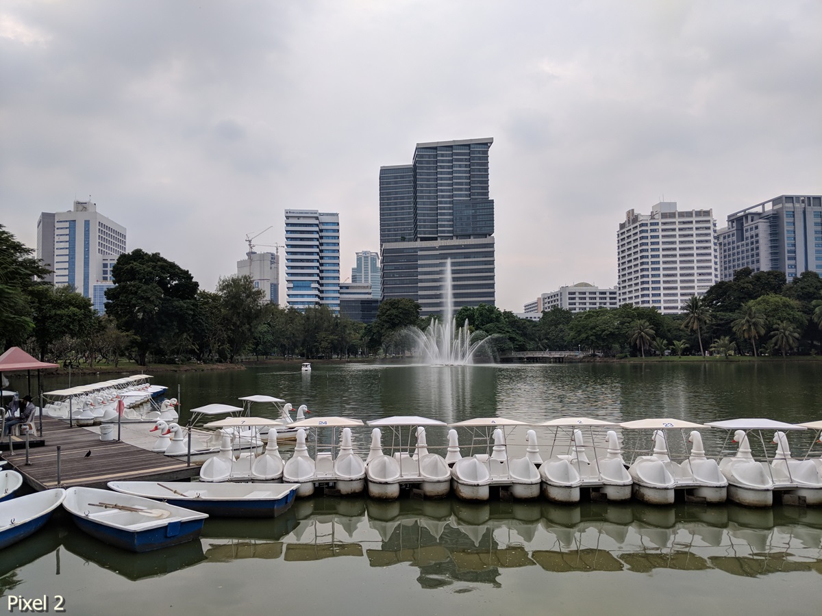 Photos Taken With Pixel 2 (11)