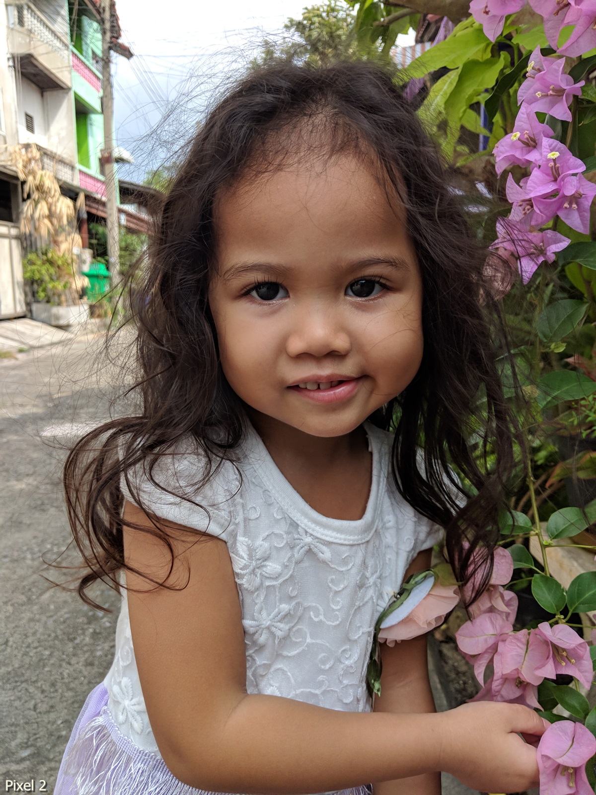 Photos Taken With Pixel 2 (30)