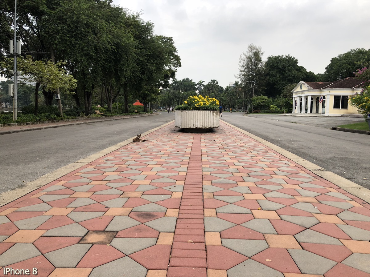 Photos Taken With Iphone 8 (10)