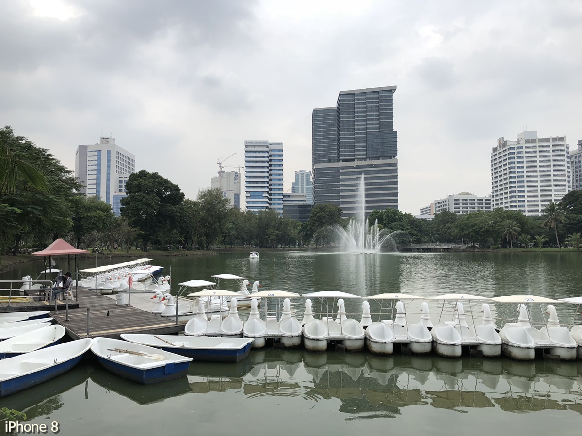 Photos Taken With Iphone 8 (11)