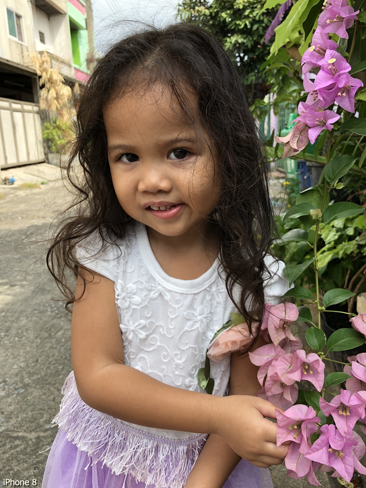 Photos Taken With Iphone 8 (30)