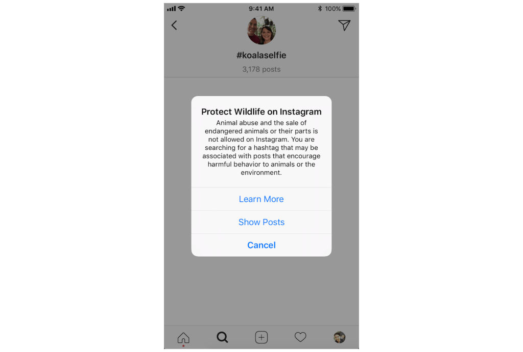 Instagram ห้ามเซลฟี่กับสัตว์ป่า