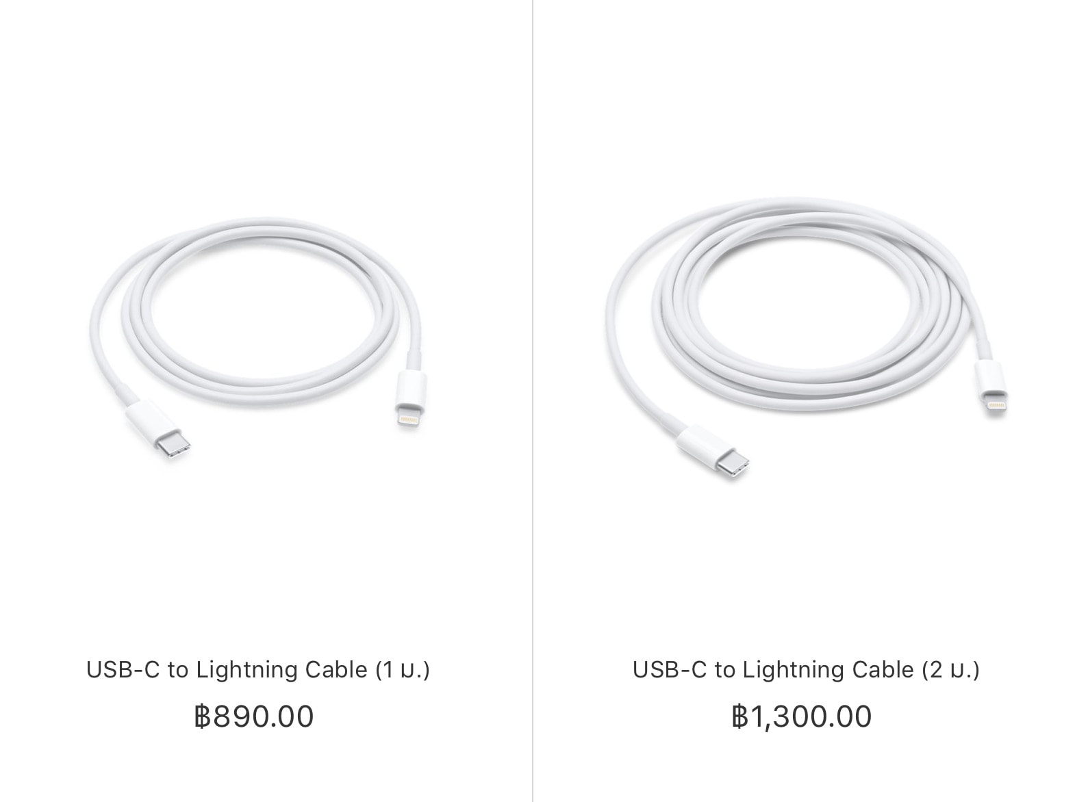 Usb C To Lightning Cable Apple