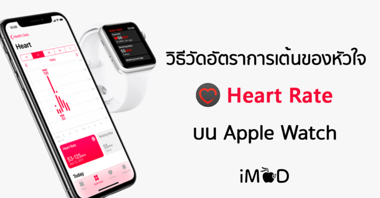 Apple Watch Check Heart Rate