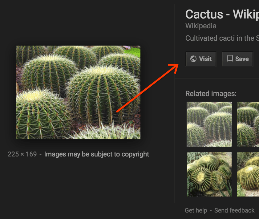 ปุ่มดูรูปภาพ (View Image) หายไปจาก Google เมื่อค้นหารูปภาพ