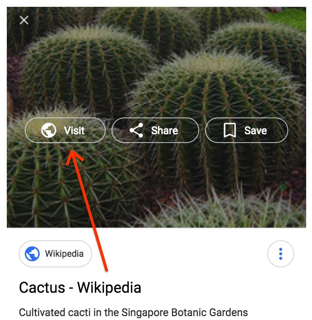 ปุ่มดูรูปภาพ (View Image) หายไปจาก Google เมื่อค้นหารูปภาพ