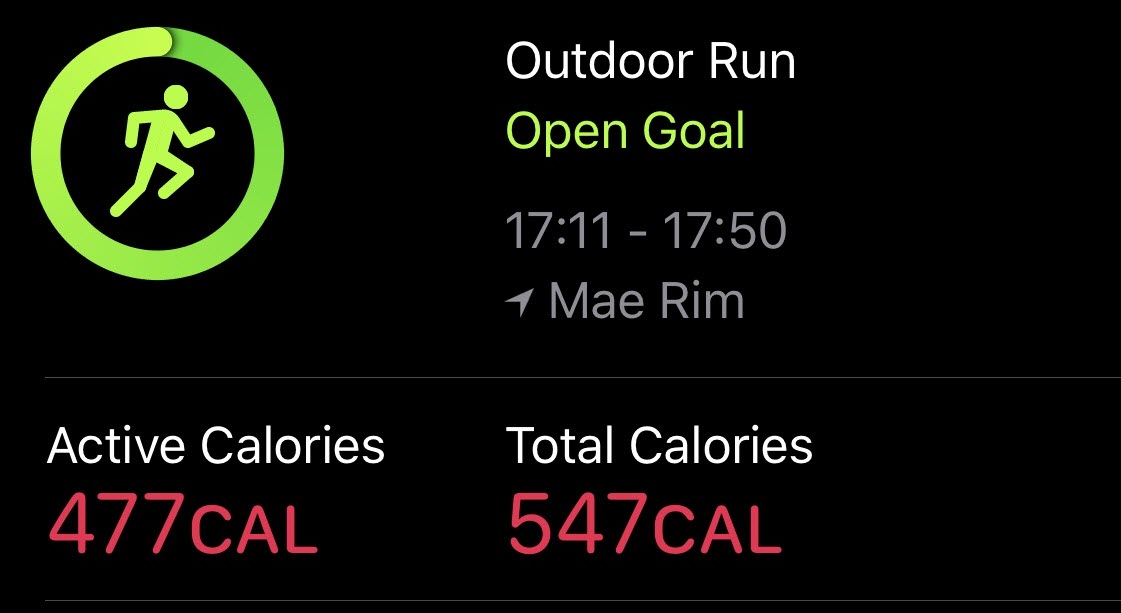 Active Calories กับ Total Calories ใน Apple Watch แตกต่างกันอย่างไร - iMoD