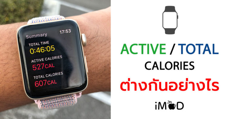 Active Calories กับ Total Calories ใน Apple Watch แตกต่างกันอย่างไร