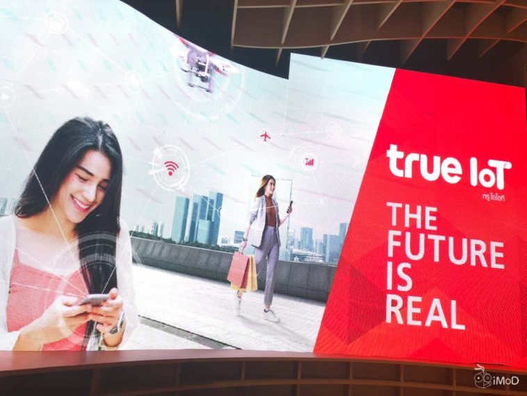 True Iot 7979
