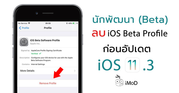 Ios 11 3 Remove Beta Profile Before Update