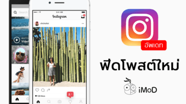 Instagram New Feed Algorithm Update