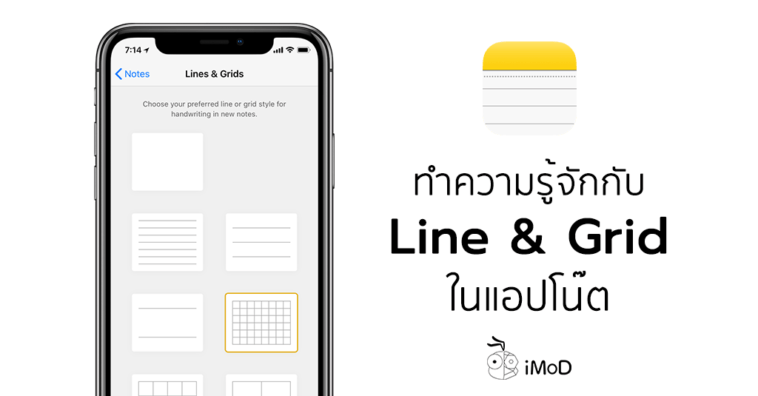 Line And Grid Setting On Note