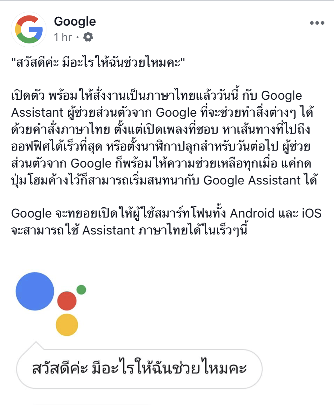 Google Assistant Th Support 2