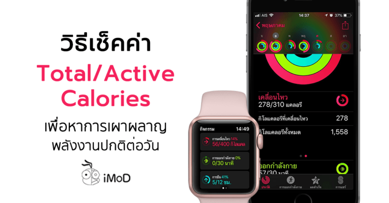 Active Calories กับ Total Calories ใน Apple Watch แตกต่างกันอย่างไร