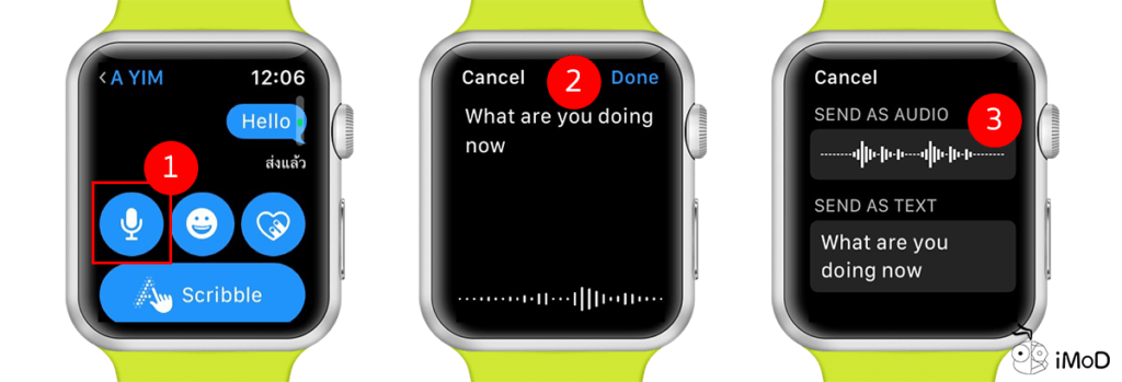 How To Send Voice Mail Message Apple Watch 2